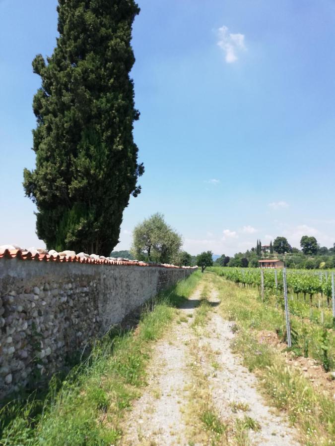 Franciacorta Flat & Bollicine Διαμέρισμα Passirano Εξωτερικό φωτογραφία